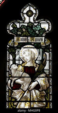 Saint Agnes stained glass, St. Matthew`s Church, Coates, Gloucestershire, England, UK Stock Photo